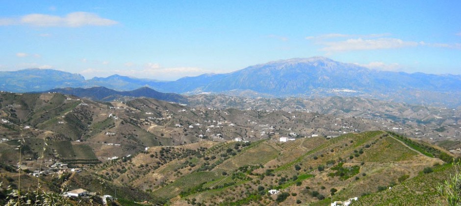 Paysages de La Axarquia